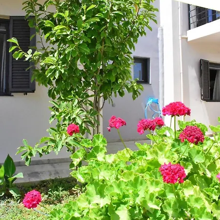 Casa Luminosa Appartamento *